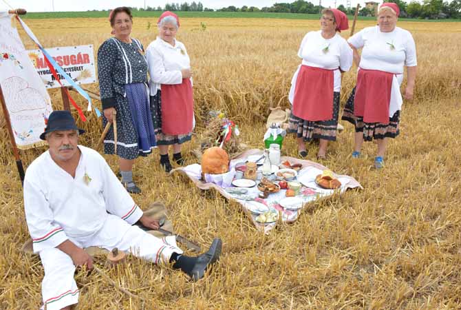 Hagyományos Aratás Szenttamáson 2016. június 18. képek